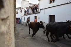 DSC_0382-Mediana