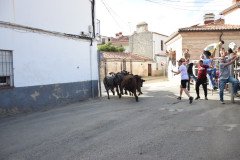 DSC_0384-Mediana