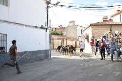 DSC_0386-Mediana