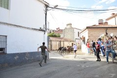 DSC_0388-Mediana
