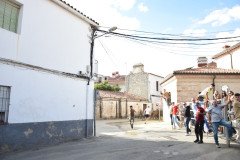DSC_0390-Mediana