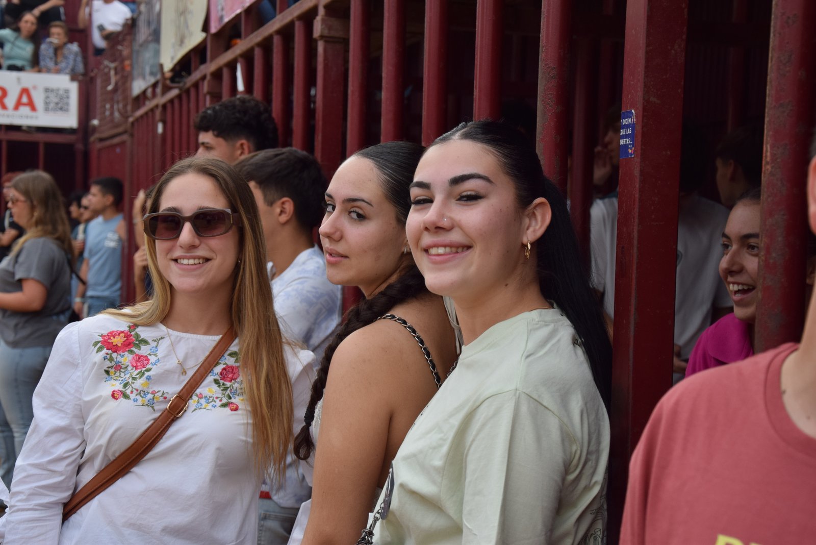 DSC_0536