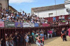 DSC_0006-Mediana