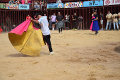 DSC_0015-Mediana