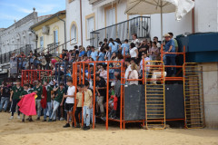 DSC_0017-Mediana