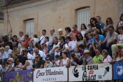 DSC_0037-Mediana