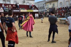 DSC_0038-Mediana