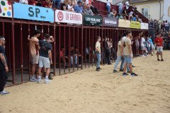 DSC_0042-Mediana