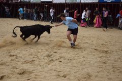 DSC_0052-Mediana