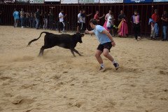 DSC_0053-Mediana