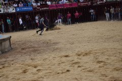 DSC_0054-Mediana