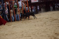 DSC_0057-Mediana