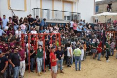 DSC_0075-Mediana