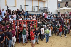 DSC_0076-Mediana