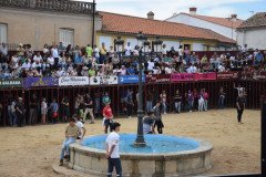 DSC_0097-Mediana