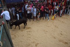 DSC_0101-Mediana
