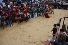 DSC_0102-Mediana