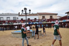 DSC_0113-Mediana