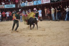 DSC_0115-Mediana
