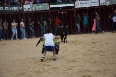DSC_0118-Mediana