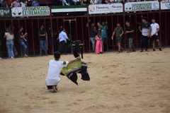 DSC_0119-Mediana