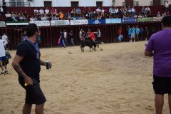 DSC_0120-Mediana