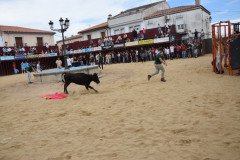 DSC_0122-Mediana