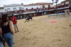 DSC_0123-Mediana