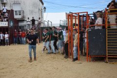 DSC_0124-Mediana