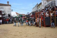 DSC_0125-Mediana