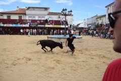 DSC_0127-Mediana