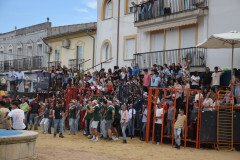 DSC_0130-Mediana