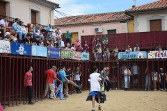 DSC_0131-Mediana