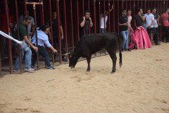 DSC_0133-Mediana