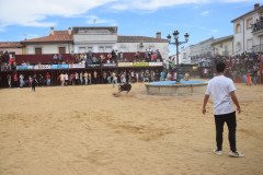 DSC_0134-Mediana