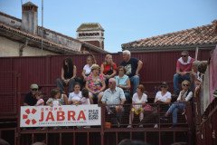 DSC_0138-Mediana