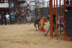 DSC_0140-Mediana