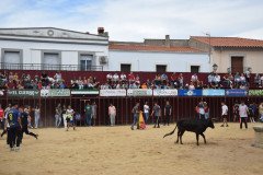 DSC_0141-Mediana