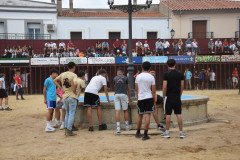DSC_0144-Mediana