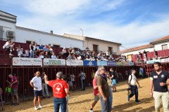 DSC_0183-Mediana
