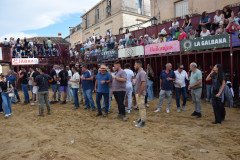 DSC_0192-Mediana