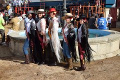 DSC_0234-Mediana