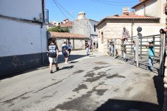 DSC_0257-Mediana