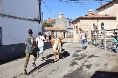 DSC_0265-Mediana