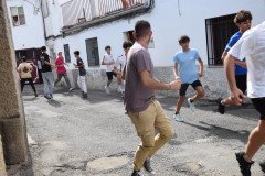 DSC_0314-Mediana