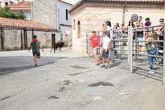 DSC_0330-Mediana