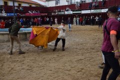 DSC_0147-Grande