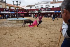 DSC_0189-Grande