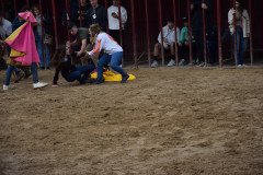 DSC_0246-Grande