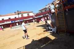 DSC_0006-Mediana